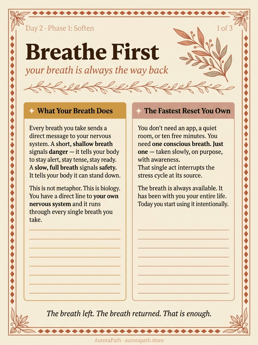 Worksheet page 7