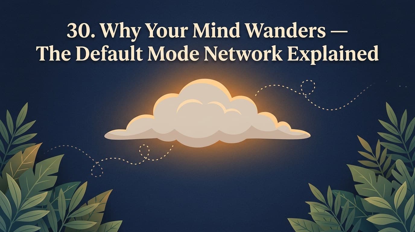 Dreamy botanical banner illustrating why the mind wanders and the default mode network